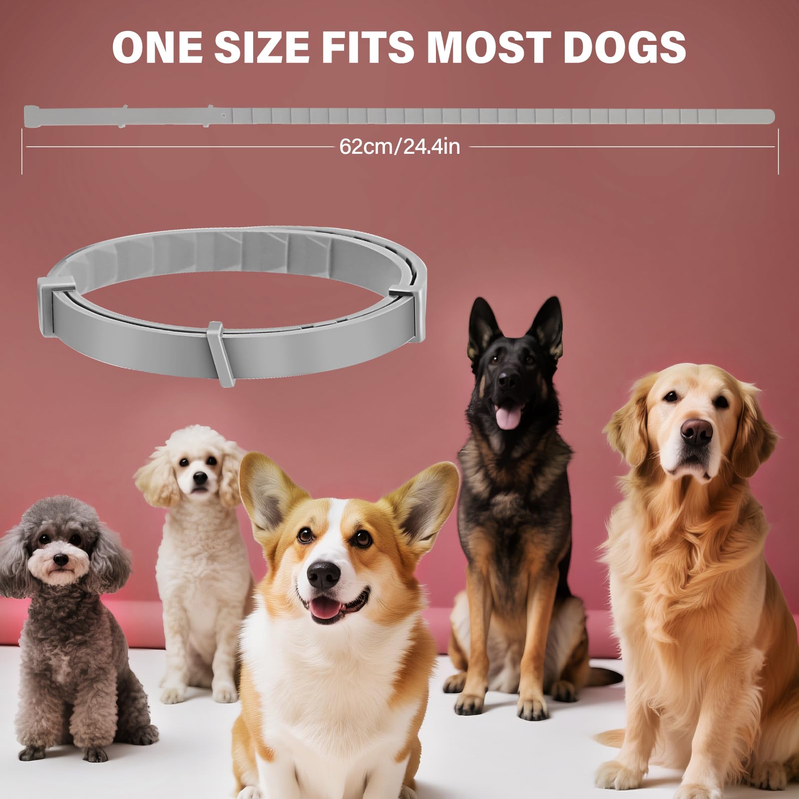 2er-Pack Zeckenhalsband für Hunde – Natürliches Ätherisches Öl, Wasserdicht & Verstellbar für Welpen und Hunde ab 8 Wochen, 16 Monate Schutz – Sicher mit Pflanzlichen Inhaltsstoffen