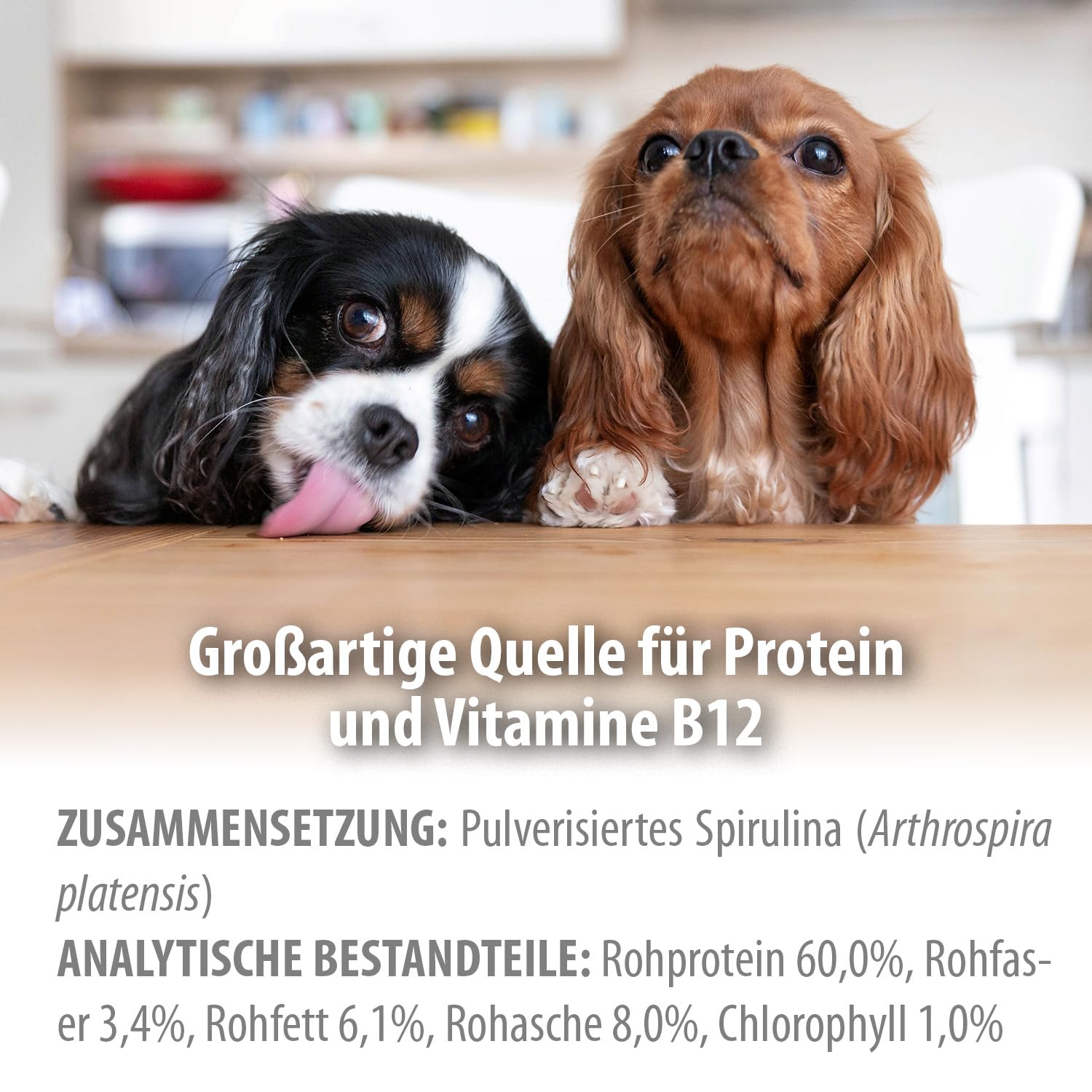 BARFeed Espirulina | Fuente de proteína y vitamina B12 | Barf para gatos y perros | Alimentación cruda | 200 g