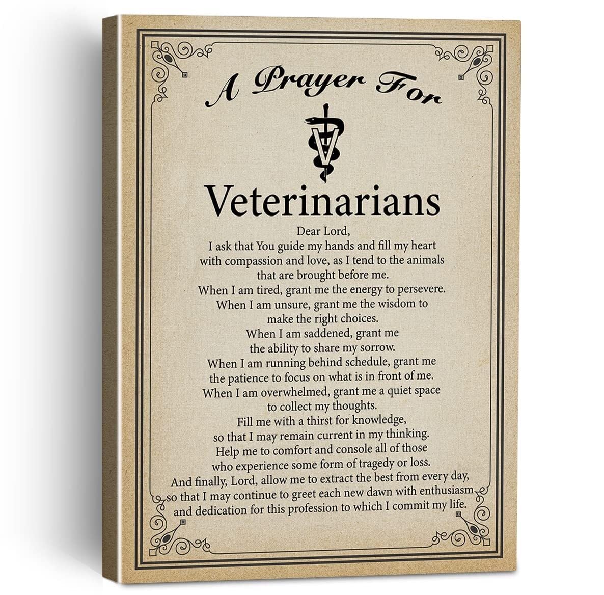 RNUMLIGH Motivational Veterinarian Quote Canvas Art Retro Prayer Saying Home Office Wall Decor Inspirational Gift Print