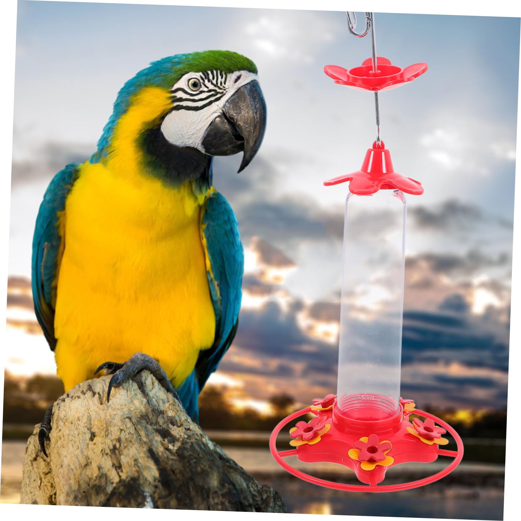 2pezzi Mangiatoia per Colibrì Sospesa Mangiatoia Decorativa per Uccelli Contenitore per Cibo per Uccelli da Giardino