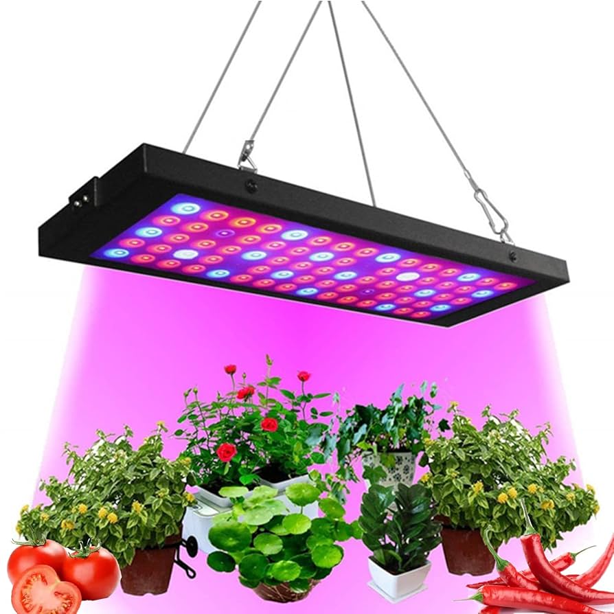 間接照明　植物　癒し Amazon.co.jp: 植物育成ライト led クリップ 【1～4本まで選べる