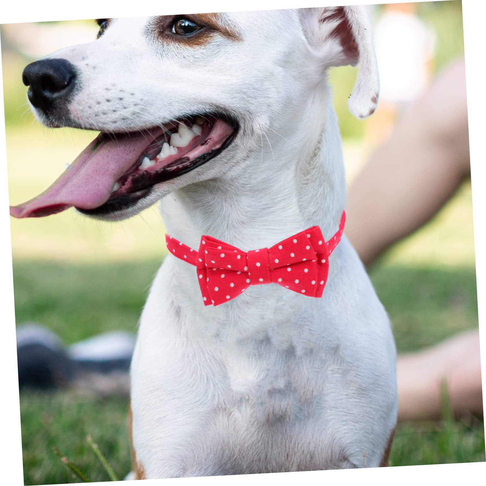 Sosoport 5stücke Verstellbarer Hundehalsband Mit Abnehmbarem Fliegen-Design Und Glöckchen Für Kleine Hunde Und Katzen Aus Hochwertiger Für Feste Und Tägliches Tragen