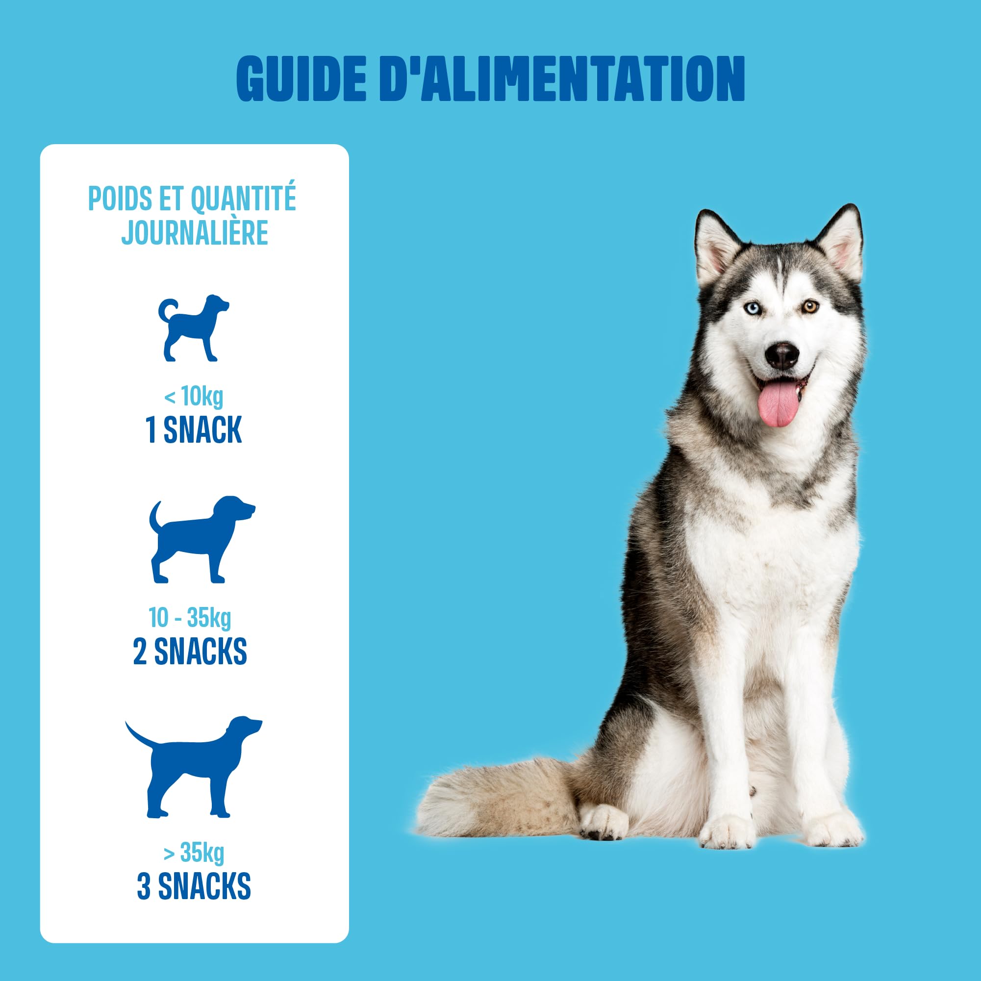 ivvi Multivitamines - Complément Alimentaire pour Chien - Soins Complets pour Une Vie de Chien Heureuse - 60 Délicieuses Friandises au Poulet (270g)