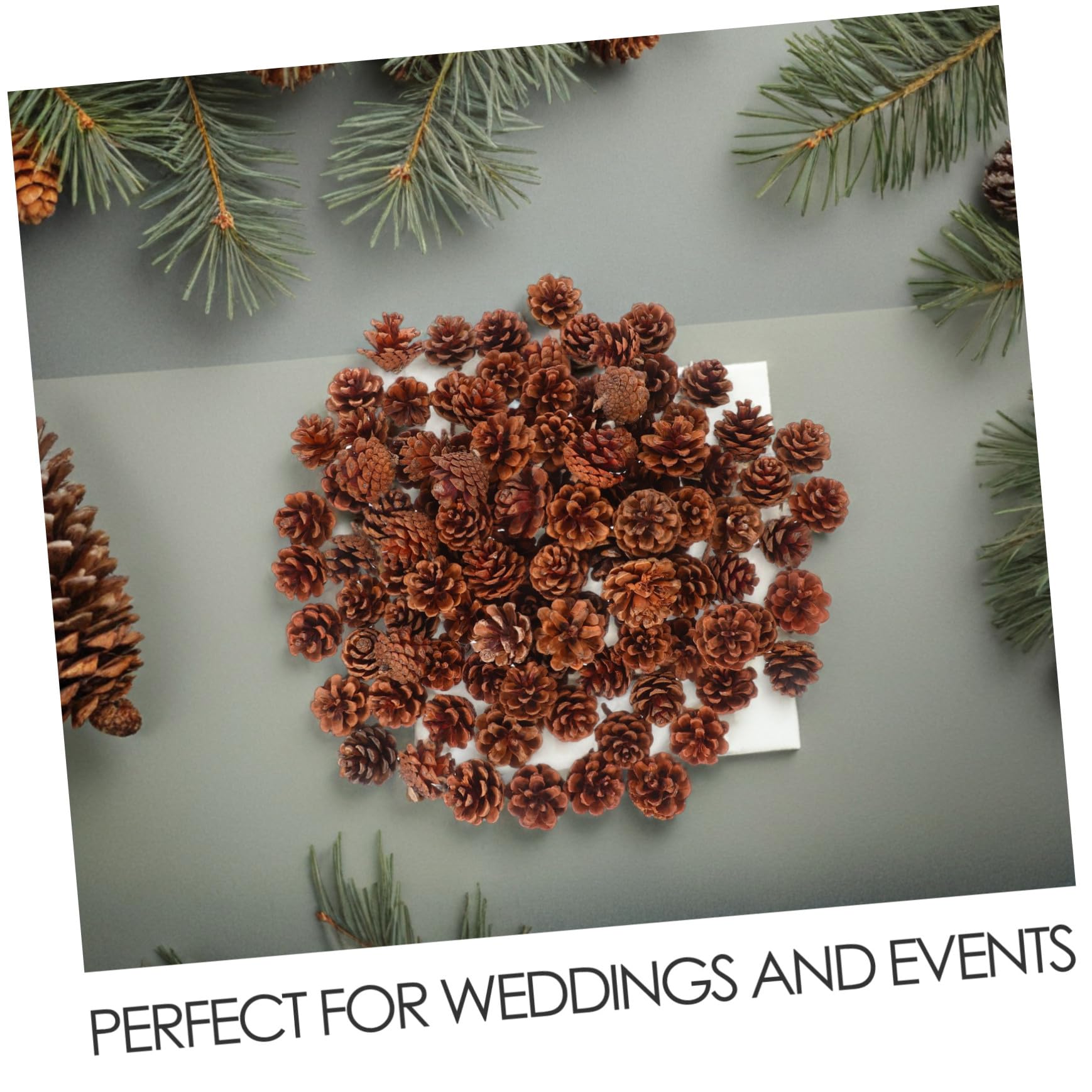 ULTECHNOVO 130stücke Kleine Tannenzapfen für Herbst und Winter DIY-bastelmaterial Vasenfüller Thanksgiving und Weihnachtsdekoration