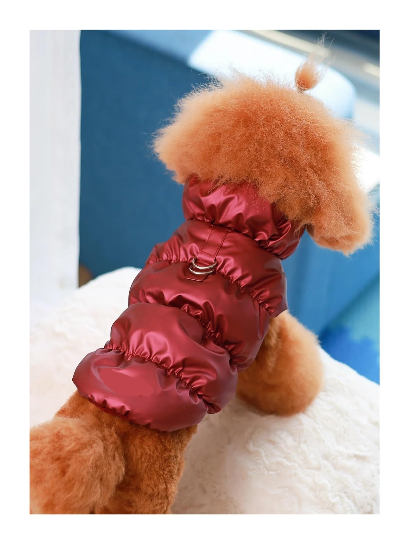 Vêtement pour chien contre le froid de l'hiver veste bordeaux M