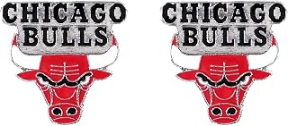 NBA Chicago Bulls Team Post Earrings