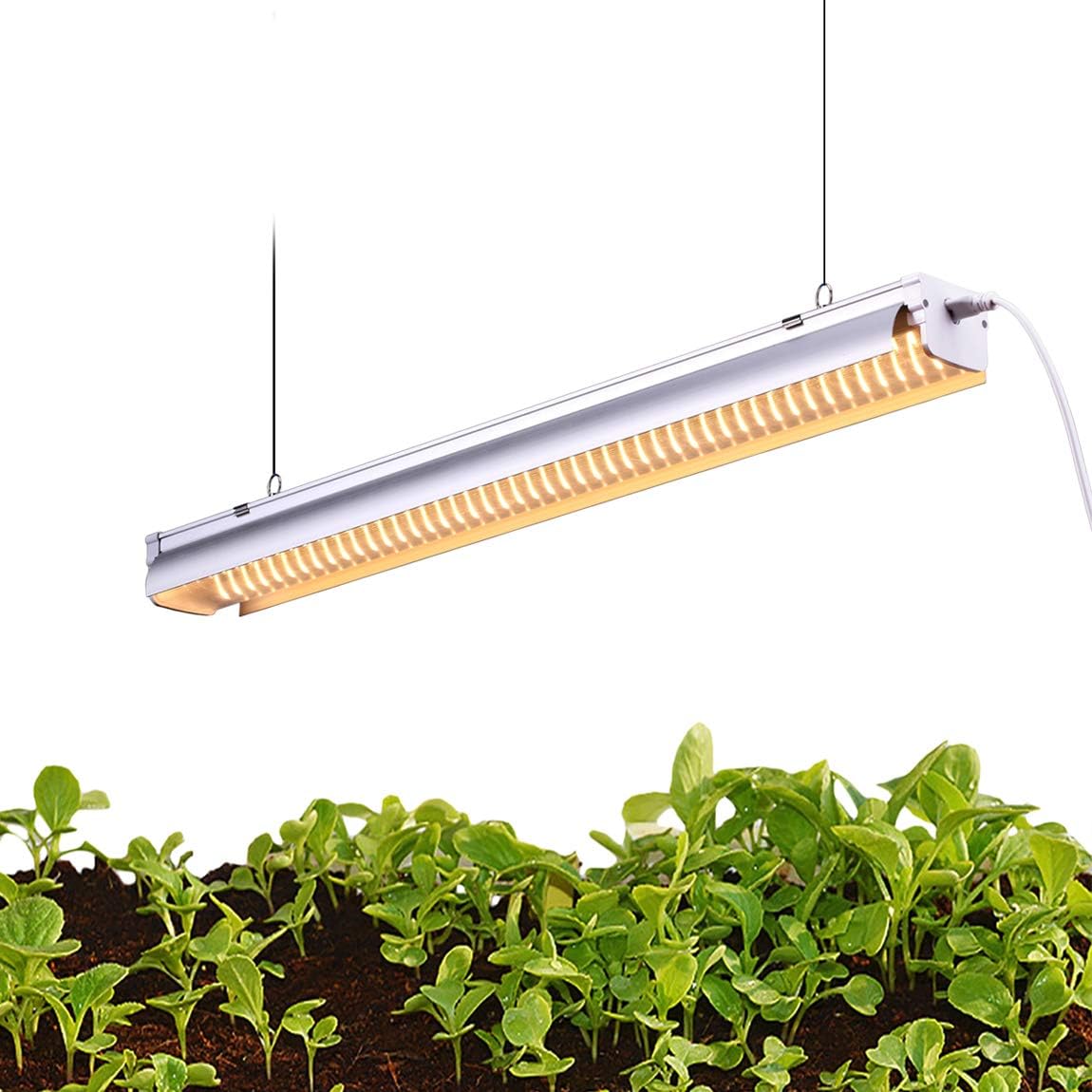 grow light shop light
