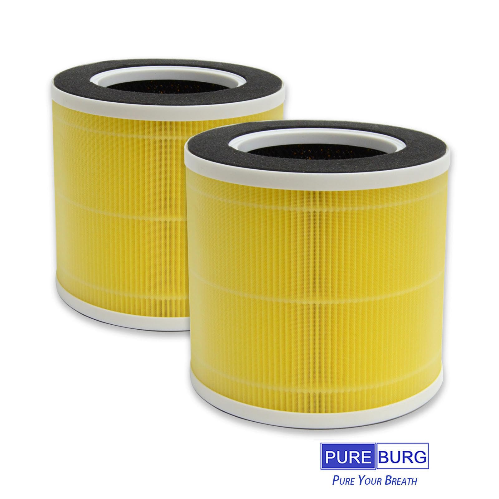 Amazon.com: PUREBURG RP-AP089 Replacement Filter Compatible