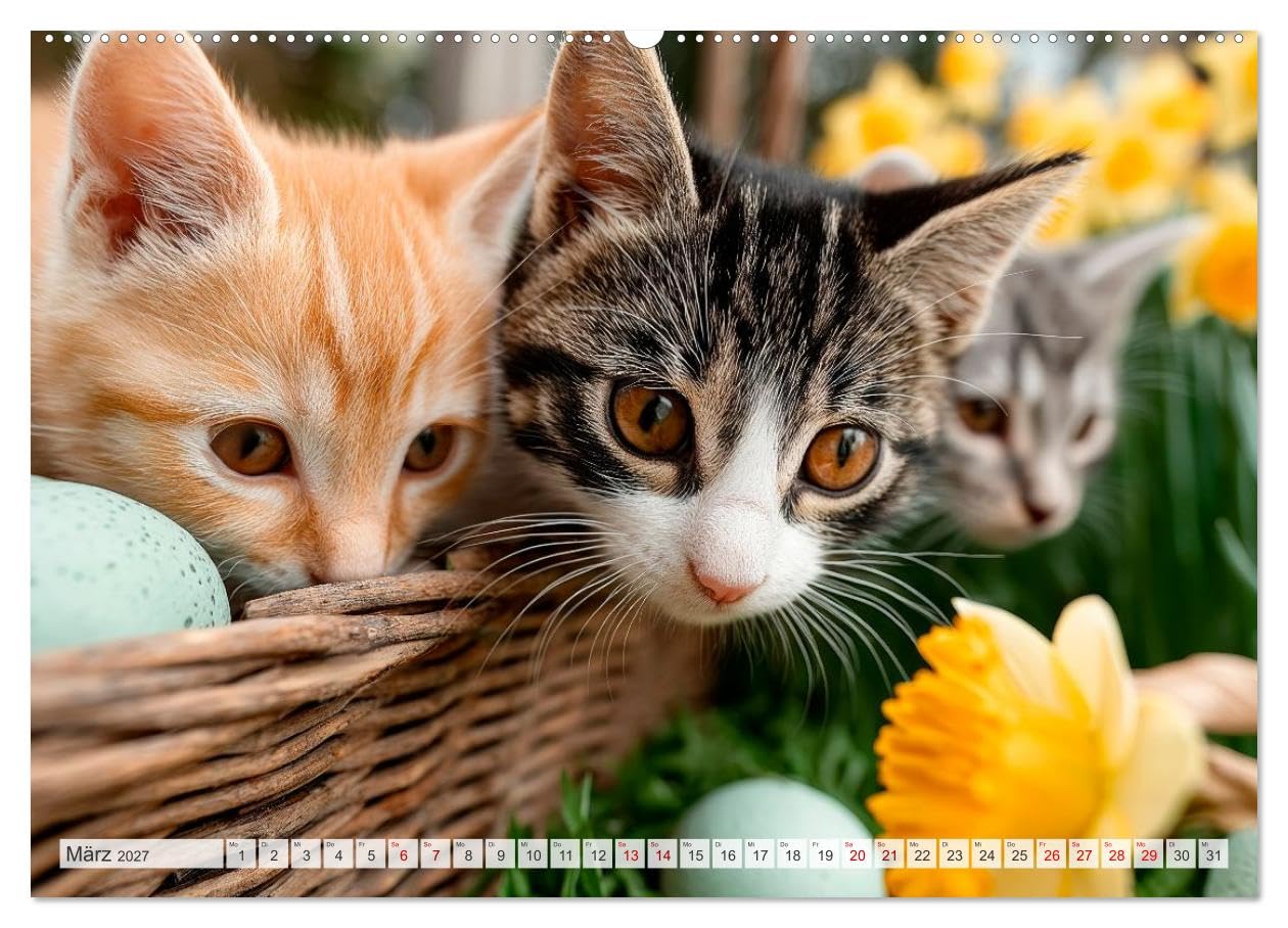 Katzen - Jeder Moment ein Abenteuer (hochwertiger Premium Wandkalender 2027 DIN A2 quer), Kunstdruck in Hochglanz: Chaos mit Charme (CALVENDO Tiere)