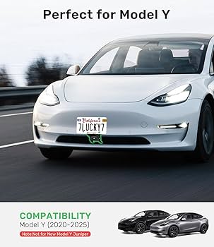 Amazon.com: Zanch Tesla Original Front License Plate Holder, [No