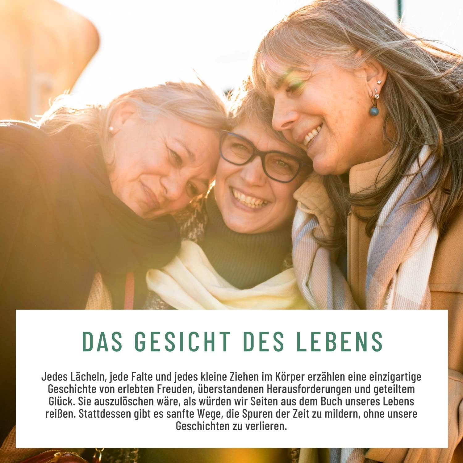 NATURTREU® Hyaluron Kapseln mit 500 mg Hyaluronsäure hochdosiert mit Aloe Vera, Biotin & Vitamin C - 90 Kapseln für Haut* und Gelenke** - Natürlich und vegan
