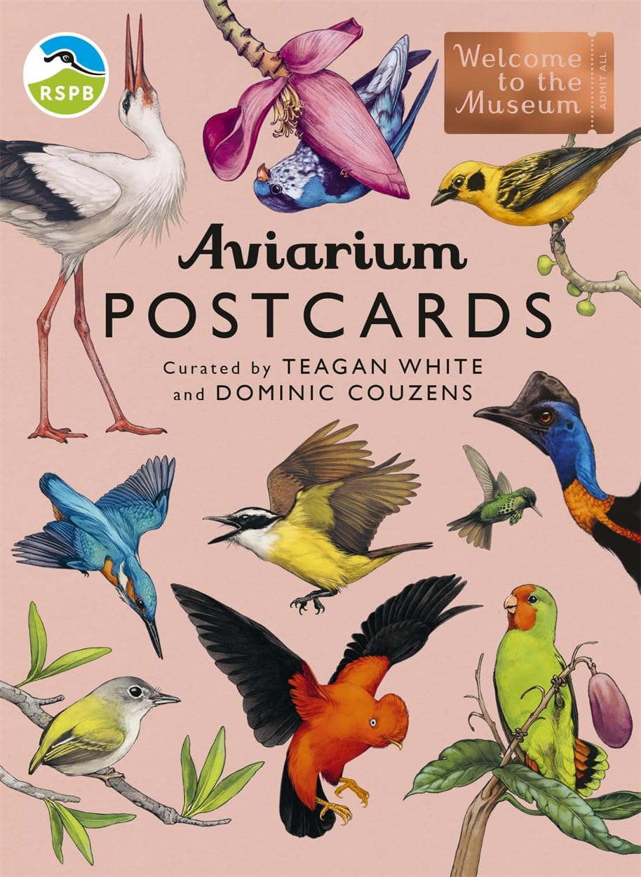 Aviarium Postcards: A luxury box of 50 Welcome to the Museum postcards