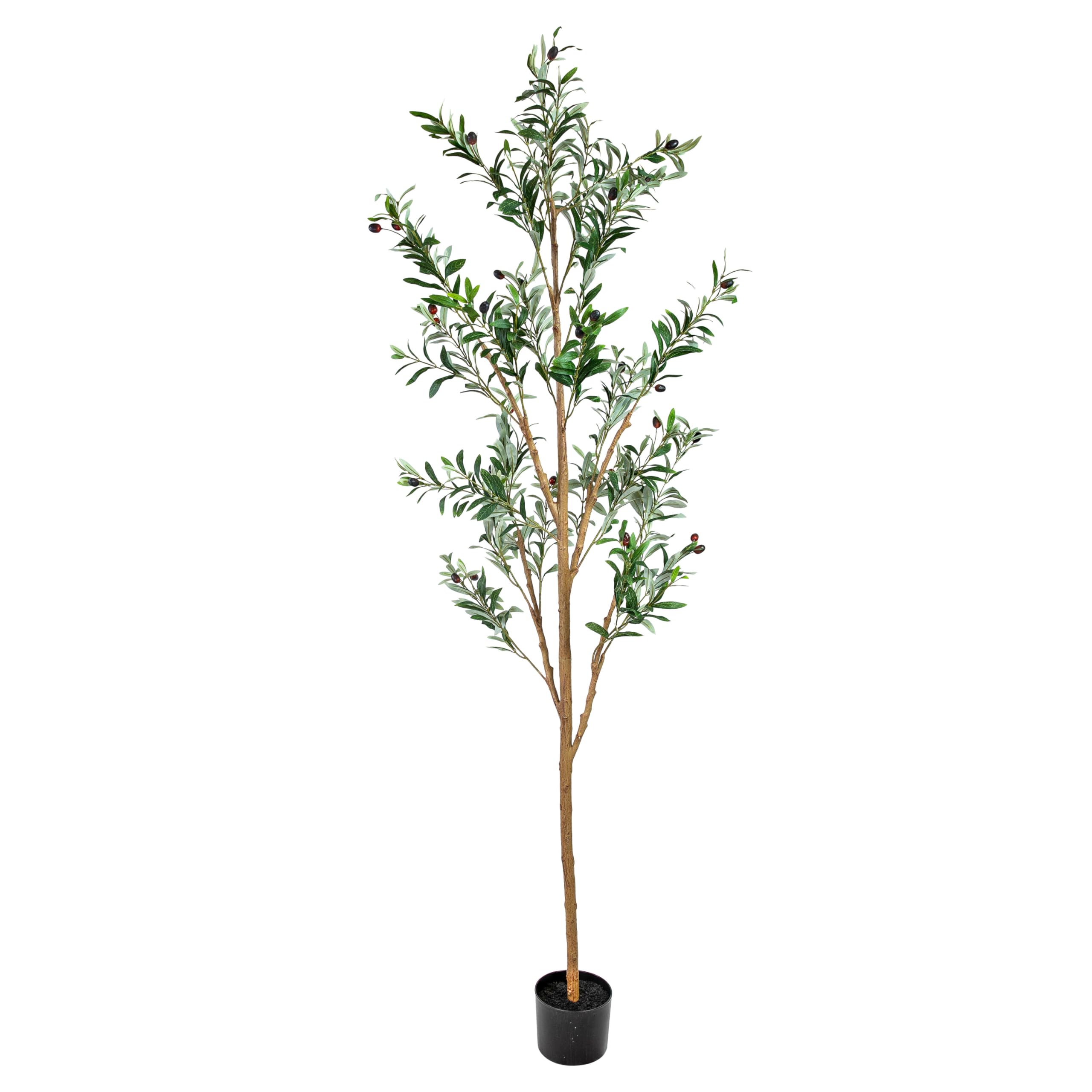 Amazon.com: Sunnydaze Fake Olive Tree - 6ft Tall Faux Olive Tree