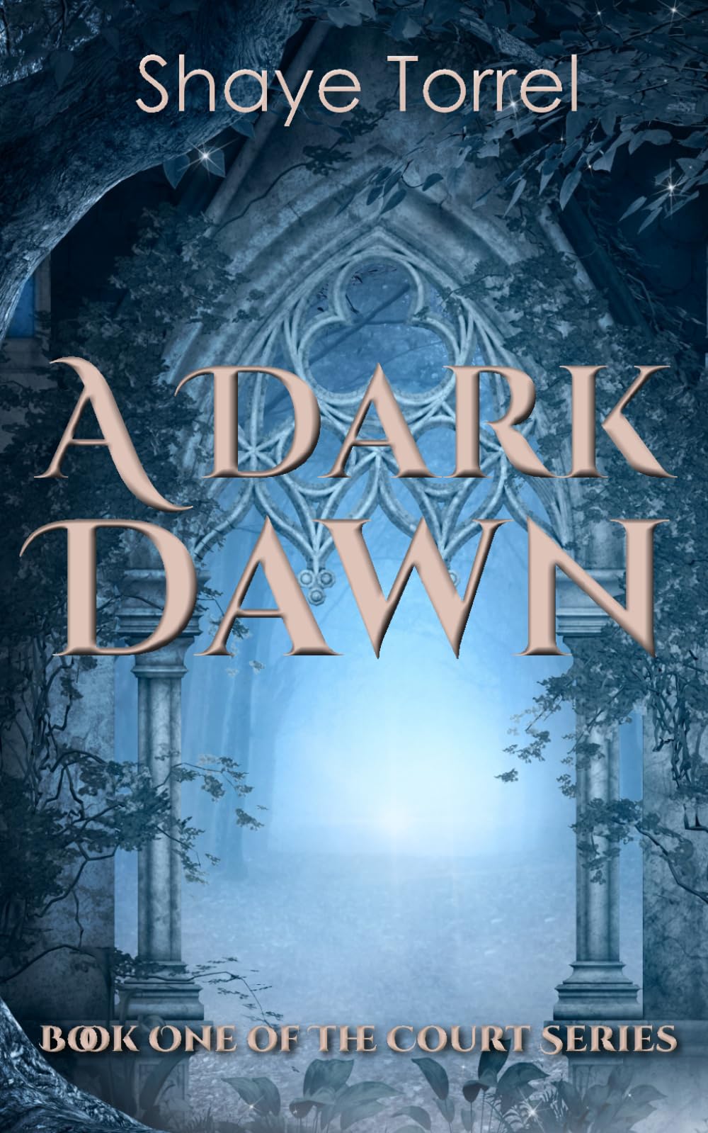 A Dark Dawn: Book One of The Court Series