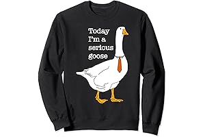Today I'm A Serious Goose Funny Apparel Sweatshirt