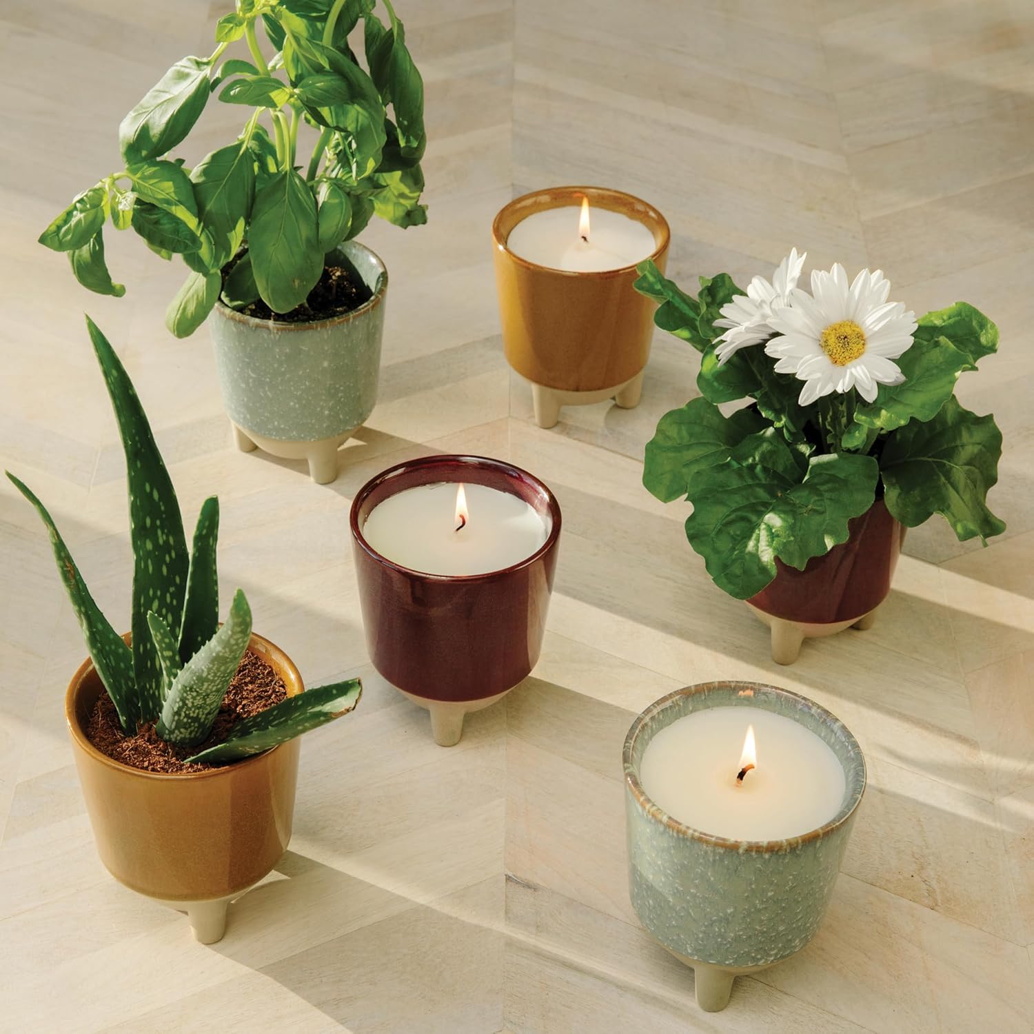 Modern Sprout Glow and Grow Kit – 2-in-1 Duftkerze, die zu einer Basilikumpflanze wächst, 340 ml Soja-Kerze mit 78 Stunden Brenndauer im Glasur-Keramikgefäß – Kerzen-Pflanzgefäß, ideal für