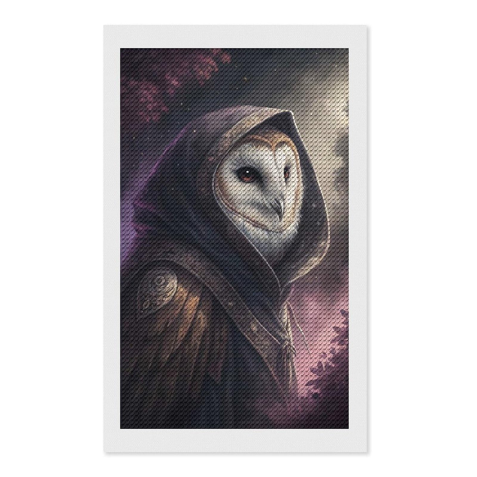 Junmoney Mysterious Hooded Owl Wizard Diamond Painting Canvas Set 12"x20", for Beginners, Complete Accessories, Christmas Gift, Modern Decor