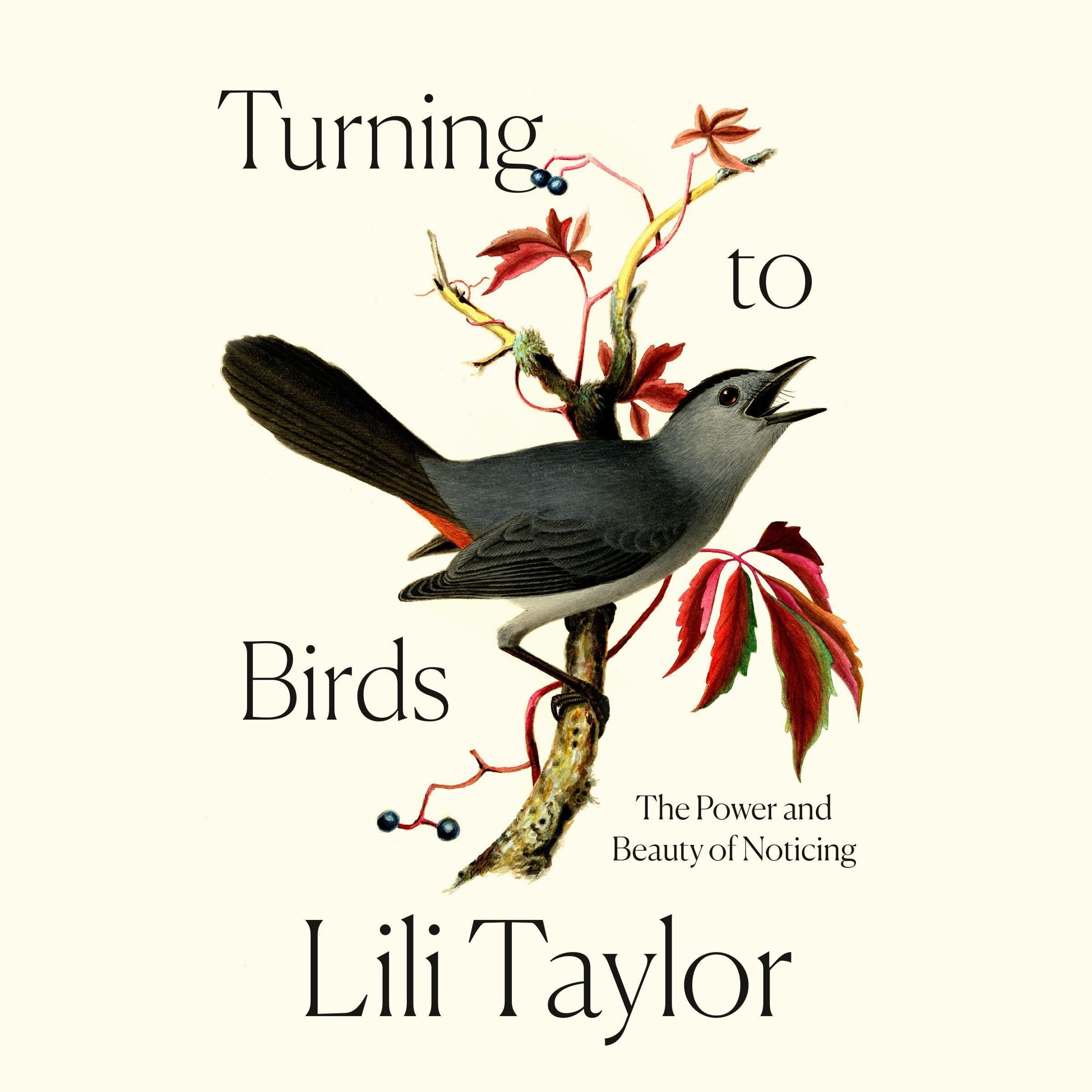Cover art for Turning to Birds