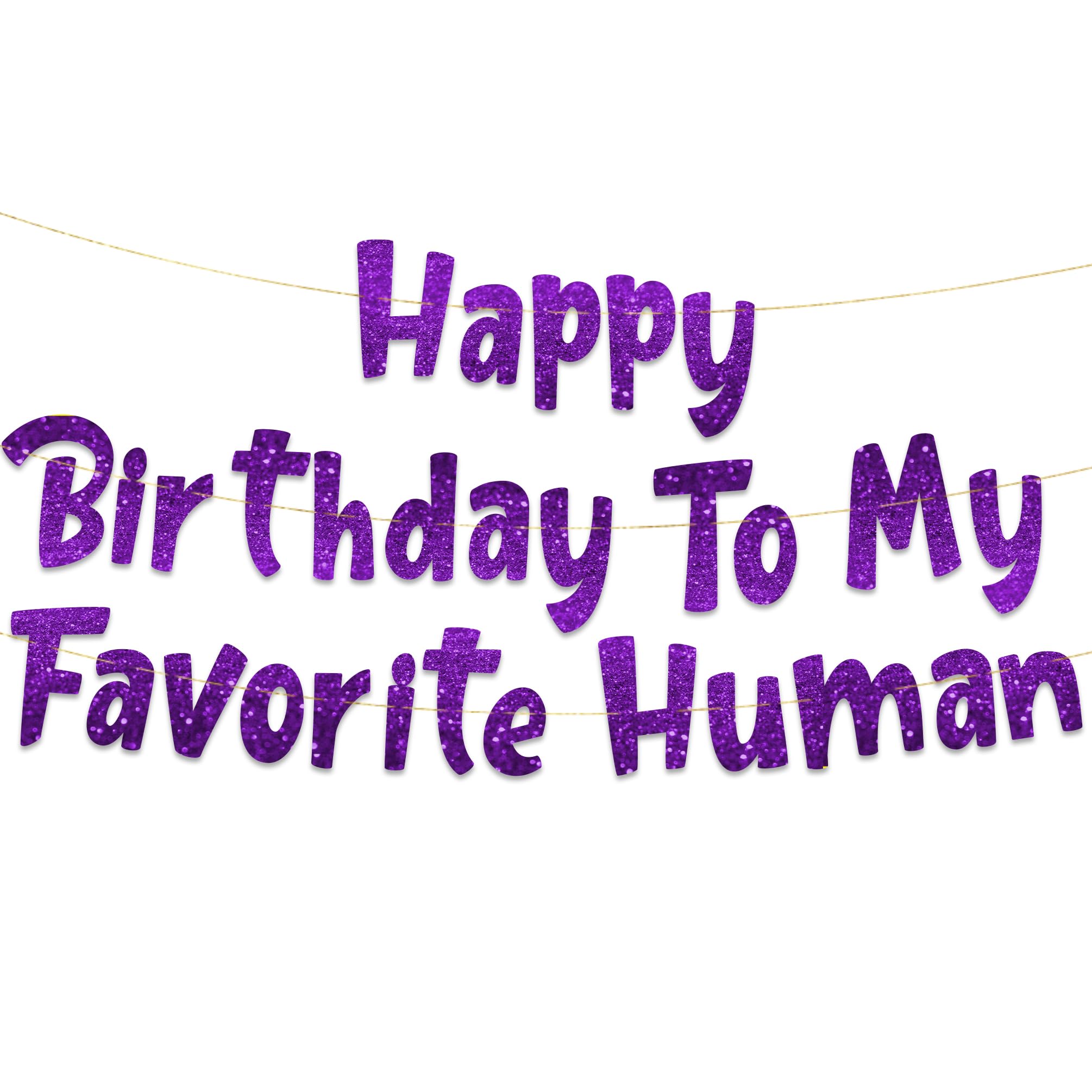Pre-Strung Happy Birthday To My Favorite Human - Funny Birthday Purple Glitter Banner - Funny Birthday Decorations for Men and Women - Party Supplies and Gifts