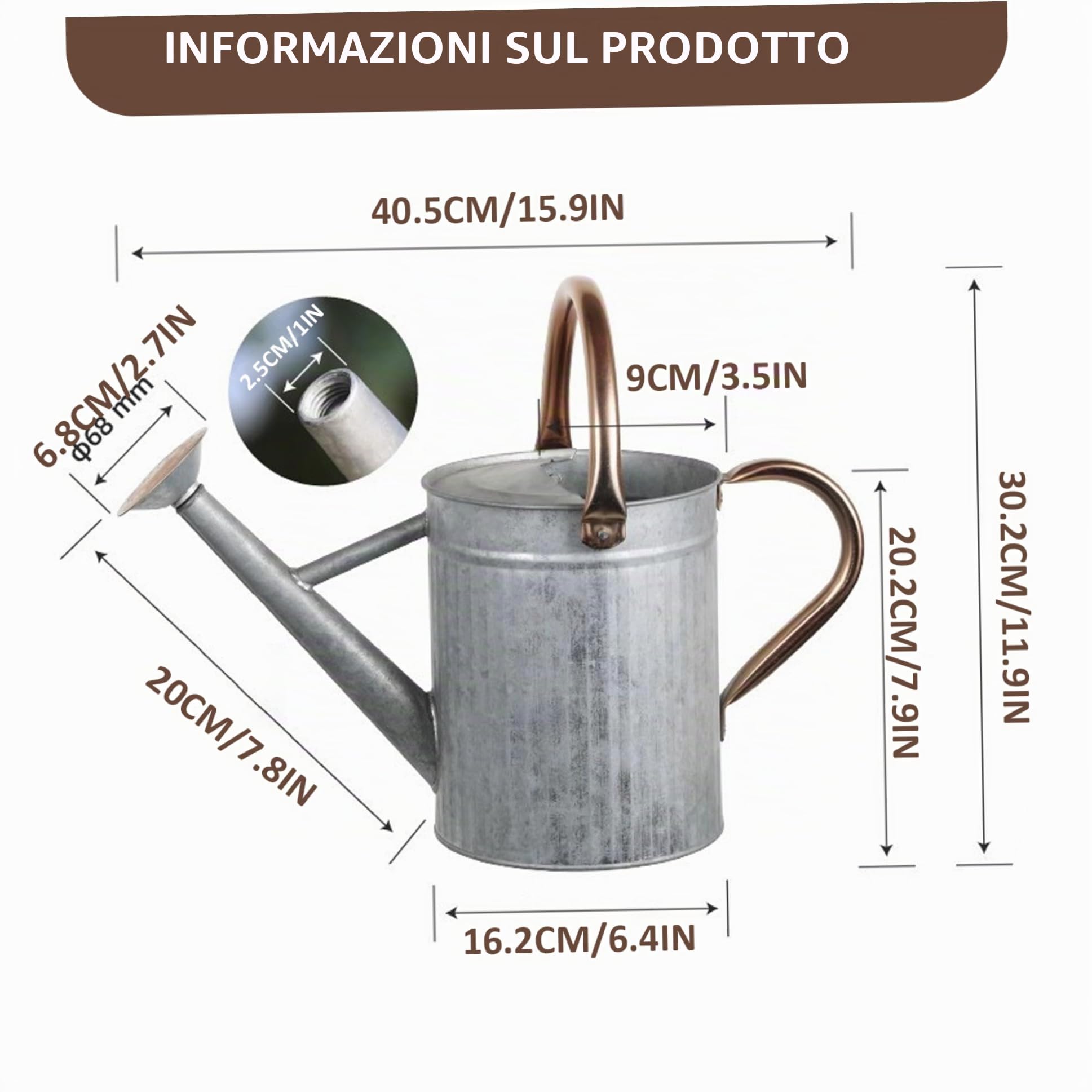 Annaffiatoio in acciaio inossidabile, lattina in metallo da 1, 3 galloni/5 litri - con beccuccio rimovibile e 2 maniglie per interni ed esterni (Argento)