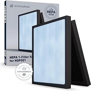 HATHASPACE Certified Replacement Filters for HSP001 Smart True HEPA Air Purifier, 1 Set (H13 True HEPA)