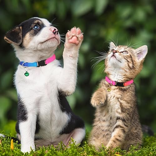 Miniatura 6 de Hypeety Collar de gatito bordado arcoíris personalizado con campana para niñas, niños, mascotas, gatos y cachorros, collar de gatito con hebilla de