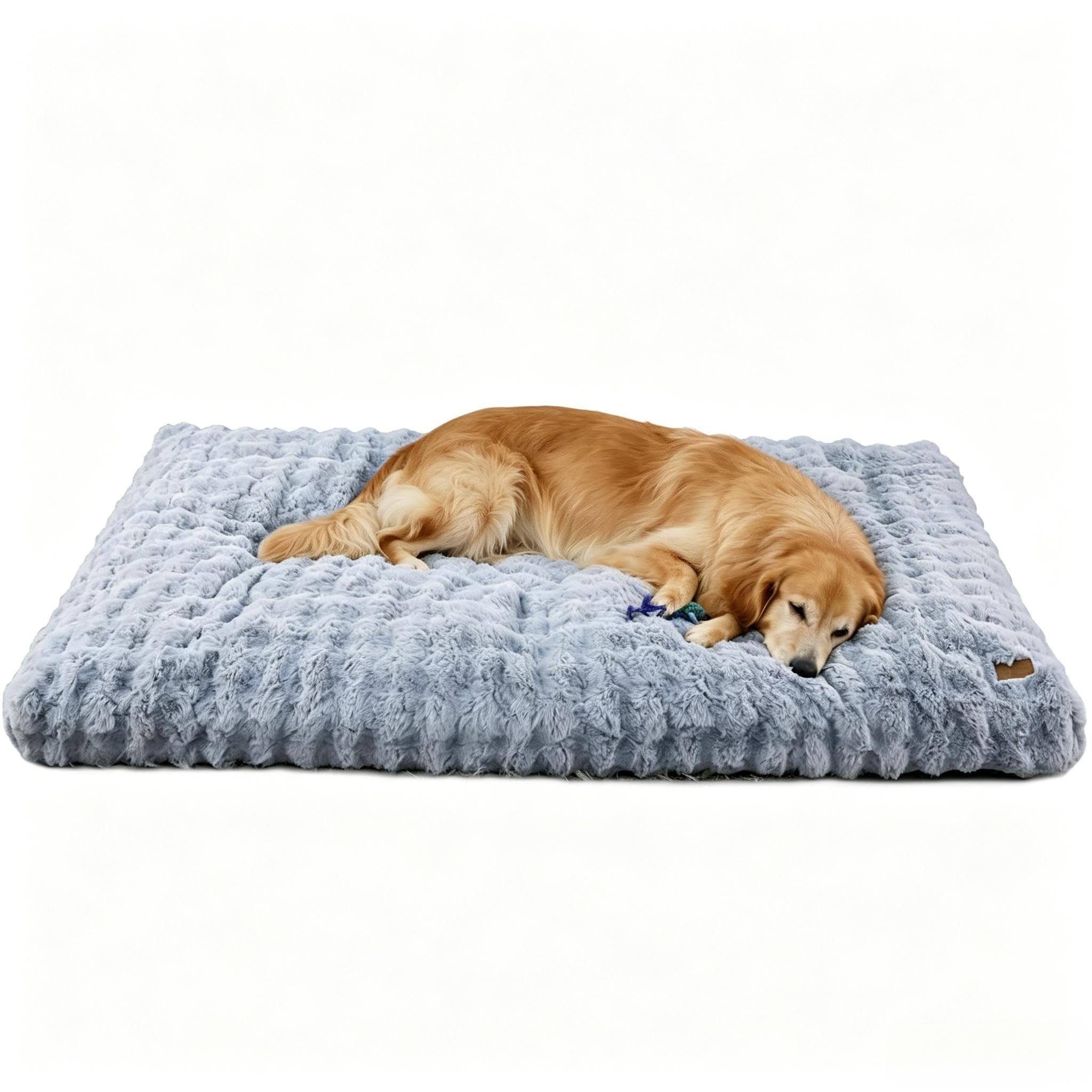Panier chien grande taille lavable pour finir avec les poils et l'inconfort