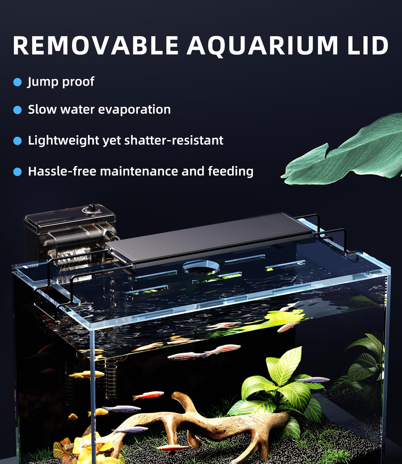 Kit acquario acquario 5 galloni con filtro, luce LED con timer, sifone aspirapolvere, coperchio, vetro autopulente senza montatura Betta Tank