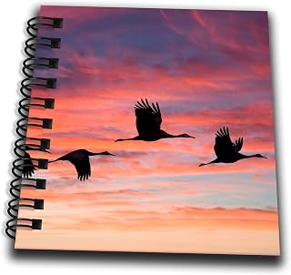 Mini Notepad 4 x 4 inch - USA, New Mexico. Wildlife Refuge. Sandhill Cranes in Flight. Sunset. New Mexico