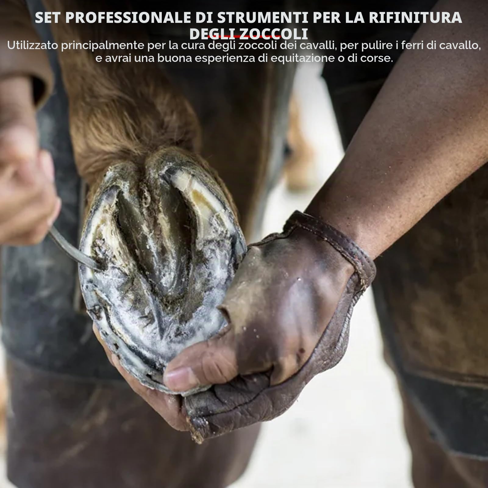 Strumento per Maniscalco, 9 Pezzi Pinza per taglierina a Ferro di Cavallo in Ferro in Acciaio Raspa per Zoccoli di Cavallo con Impugnatura ergonomica Strumento per Zoccolo a Martello