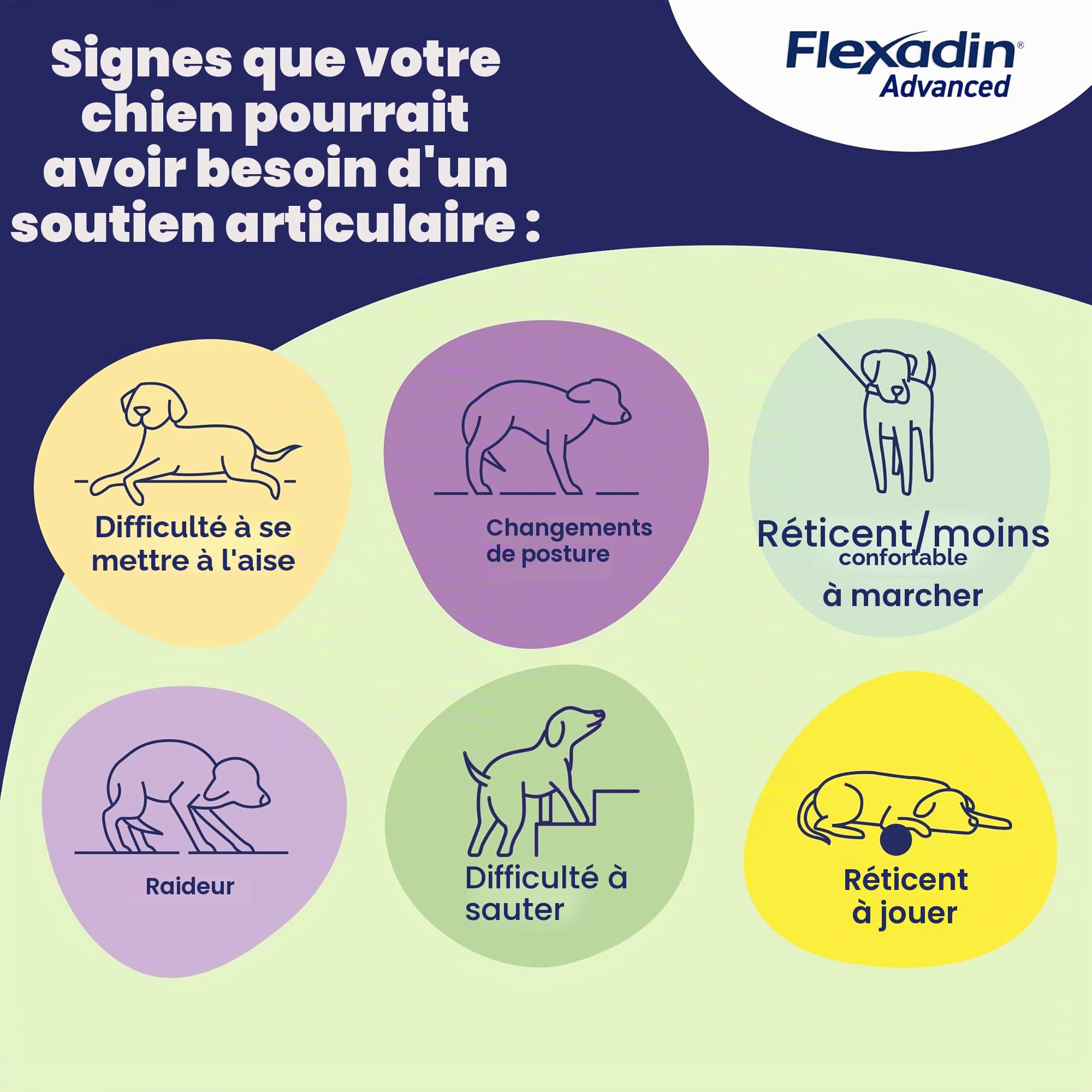 Vetoq-Sac Flexadin Advance Bw Chien 30 Cpd 150 g