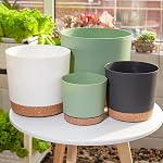 Plant Pots 2 Pack Flower Pots for Indoor Plants Pots Planters for Indoor Plants with Drainage Holes and Saucers Pots for Plants Flower Pot for Indoor Outdoor Garden Planters (White, 6.5 inch)