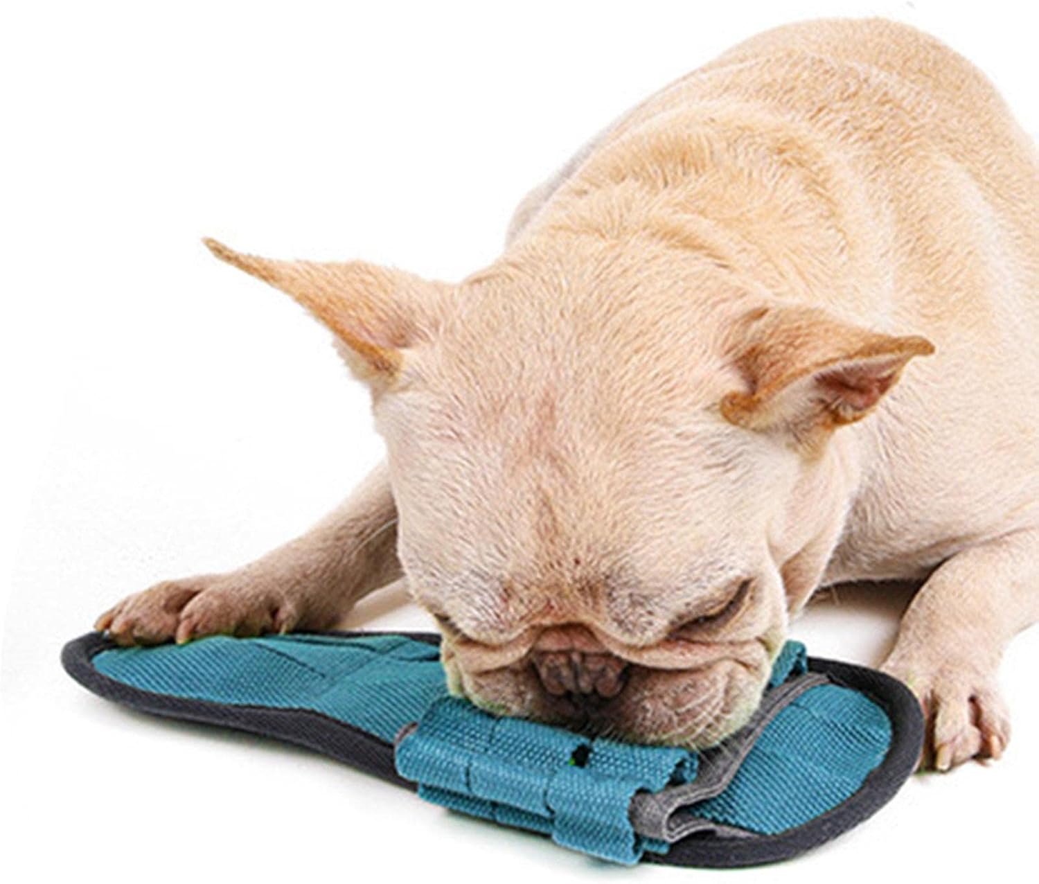 Dog Slow Feeder Toy - Interactive Treat Feeder | Squeaky Toy for Dogs ...