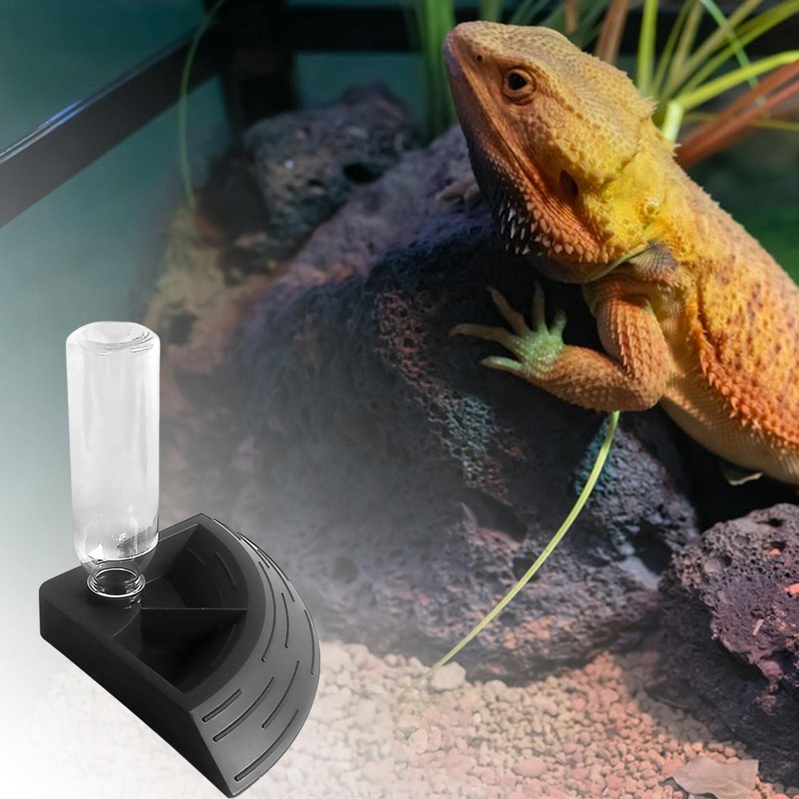 4X Botella de Agua Automática para Reptiles, Terrario, Cuenco Esquinero, Dispensador de Agua, Decoración de Hábitat, Comedero Y para Tortugas