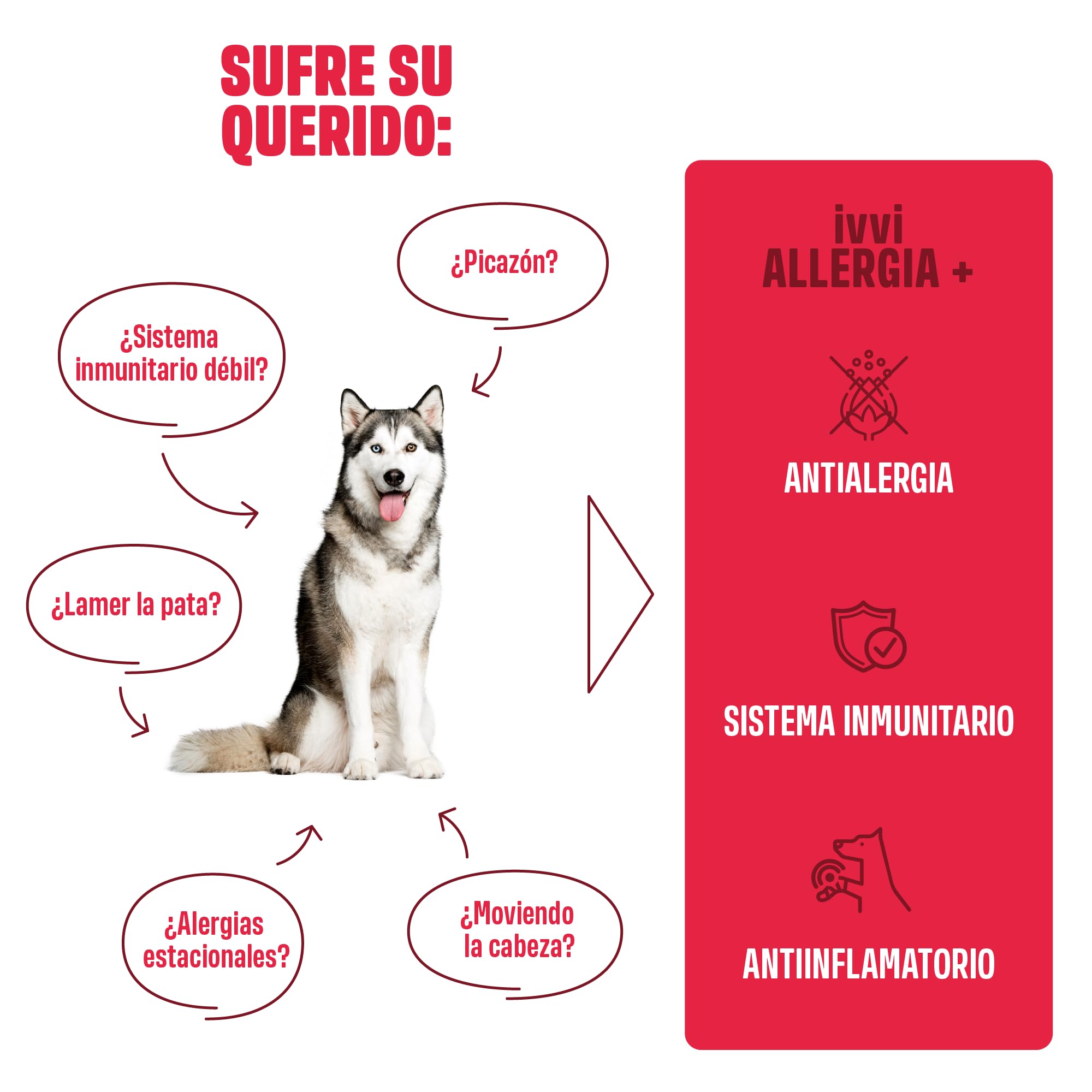ivvi Allergy Immunity para perros – contra las alergias y picazón y para fortalecer el sistema inmunológico - 60 deliciosos snacks (270g) con salmón