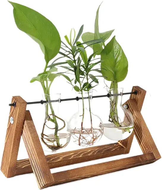 PUWOWYE Estación de Propagación para Plantas Vintage, Bombillas Jarrón con Soporte de Madera, Jarrón Hidropónico de Vidrio, Ideas Regalos Mujer