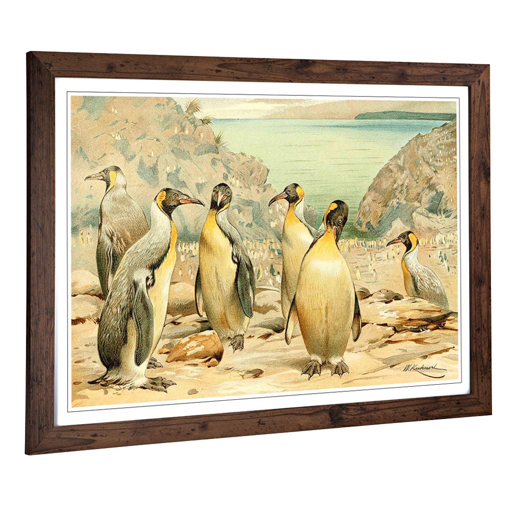 Big Box Art Framed Print of Vintage W Kuhnert Giant Penguins Design | Wall Art Picture | Home Decor for Kitchen, Living Room, Bedroom, Hallway, Walnut, A2 / 24.5x18 Inch / 62x45cm