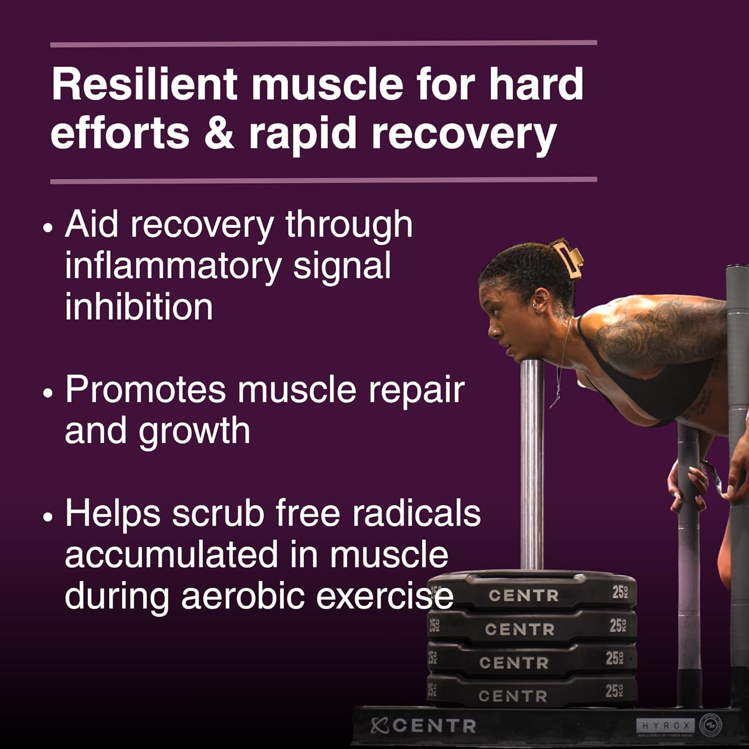 Grit Fuel Endurance Capsules: Epicatechin & Quercetin Mitochondria Booster for Aerobic Output & Muscle Resilience. Natural, High Purity Fuel Extender for Distance & High Intensity Cardio Training.