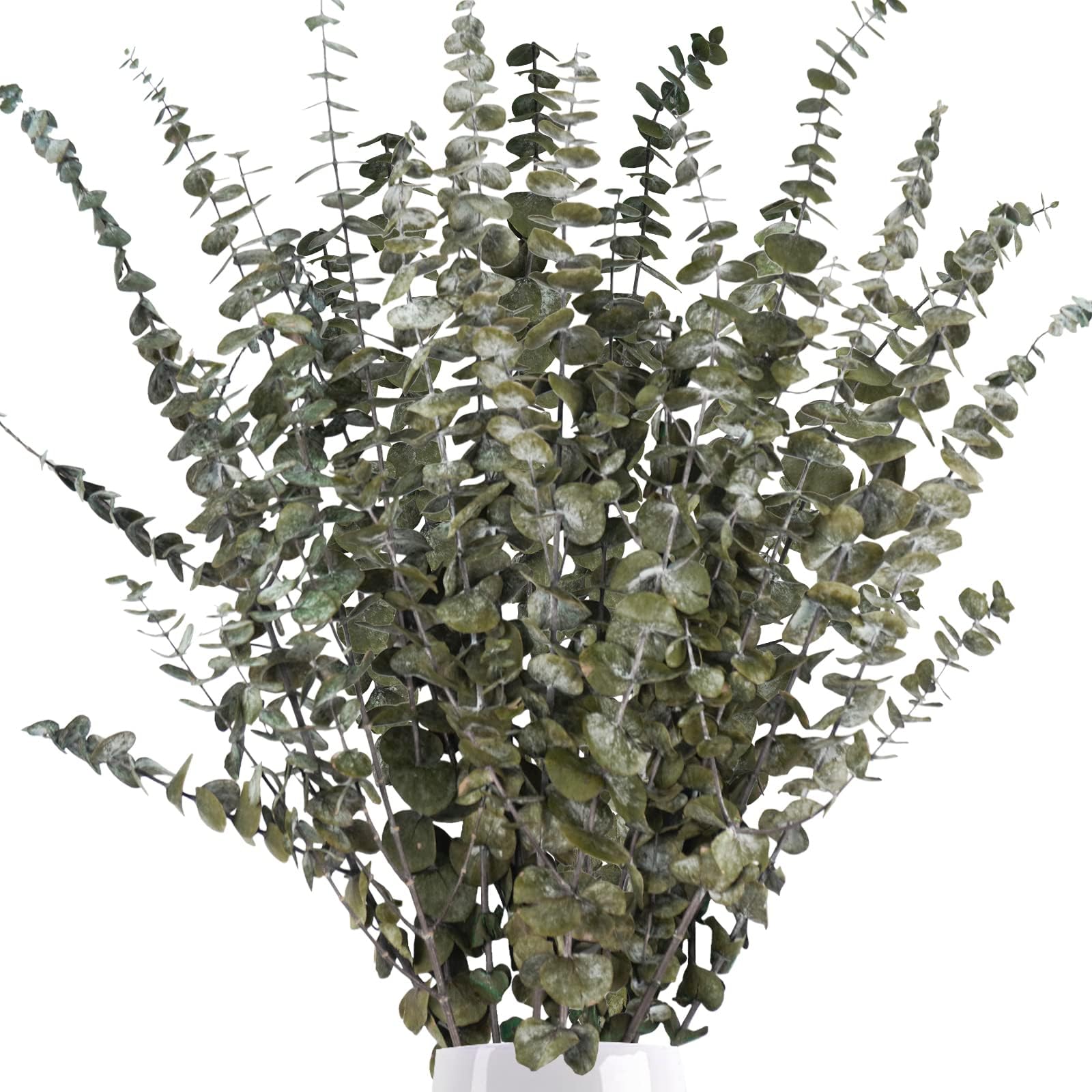 16 Pcs Dried Eucalyptus Stems, 18" Natural Preserved Fresh Eucalyptus Branches Bundle Real Eucalyptus Plants Leaves for Home Wedding DIY Baby Shower Flower Arrangements Decor