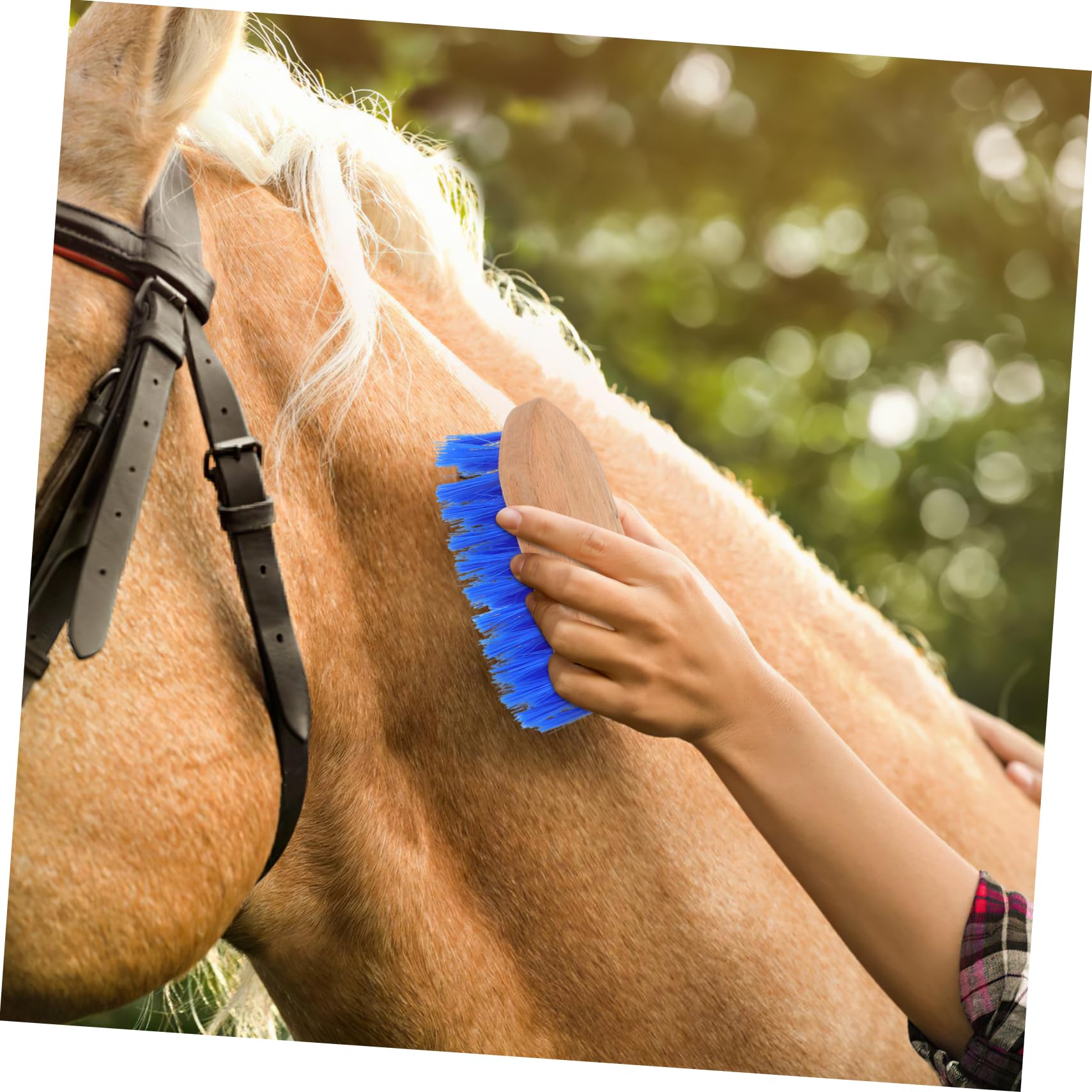 Gatuida 5piezas Cepillo De Limpieza Para Caballos Cerdas Rígidas y Mango Antideslizante Herramienta De Cuidado y Belleza Para Caballos y Animales Para Azul