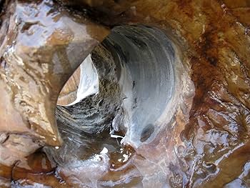 Amazon | 木化石 031 珪化木 庭石 | ガーデンオーナメント・置物