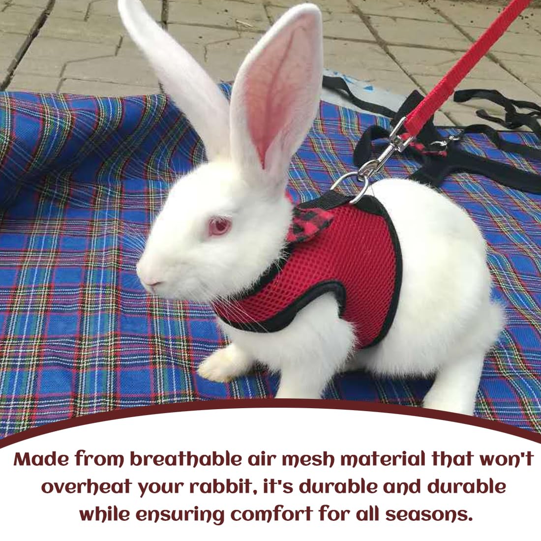 GXGM Confortevole Imbracatura per Coniglio con Elastico Guinzaglio Pettorina Morbido Traspirante per Criceti Ratto Riccio Topo Animali Piccoli
