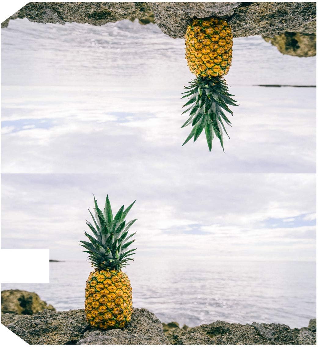 VWAQ Pineapple Mailbox Covers Magnetic Beach Decorative Magnet - MBM3…