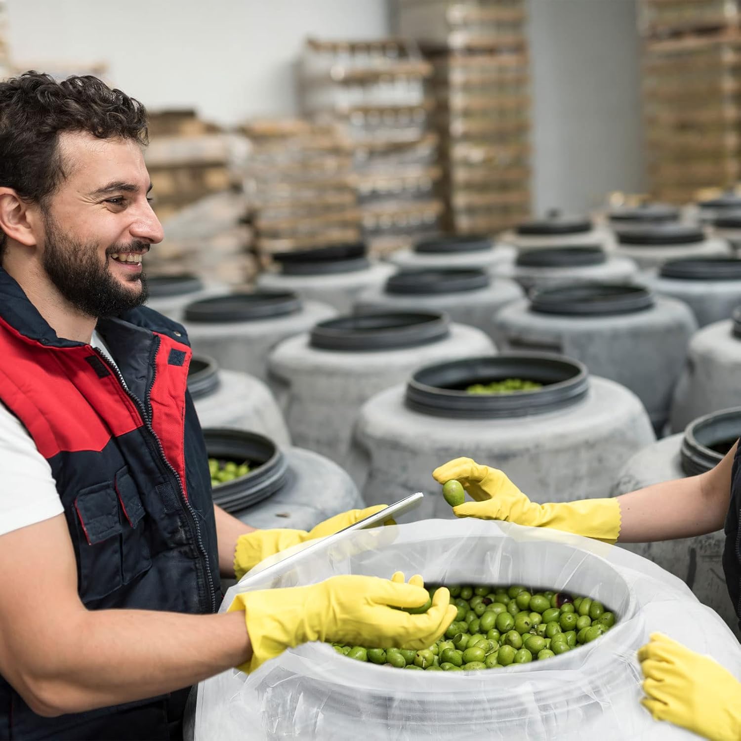 Lewtemi 12 Pack 55 Gallon Clear Heavy Duty Plastic Drum Liner Large Thick Food Storage Bag for Vegetable Marinating Brining Lawn Outdoor Industrial Pail 5.5 Mil Liner (55 Gallon)