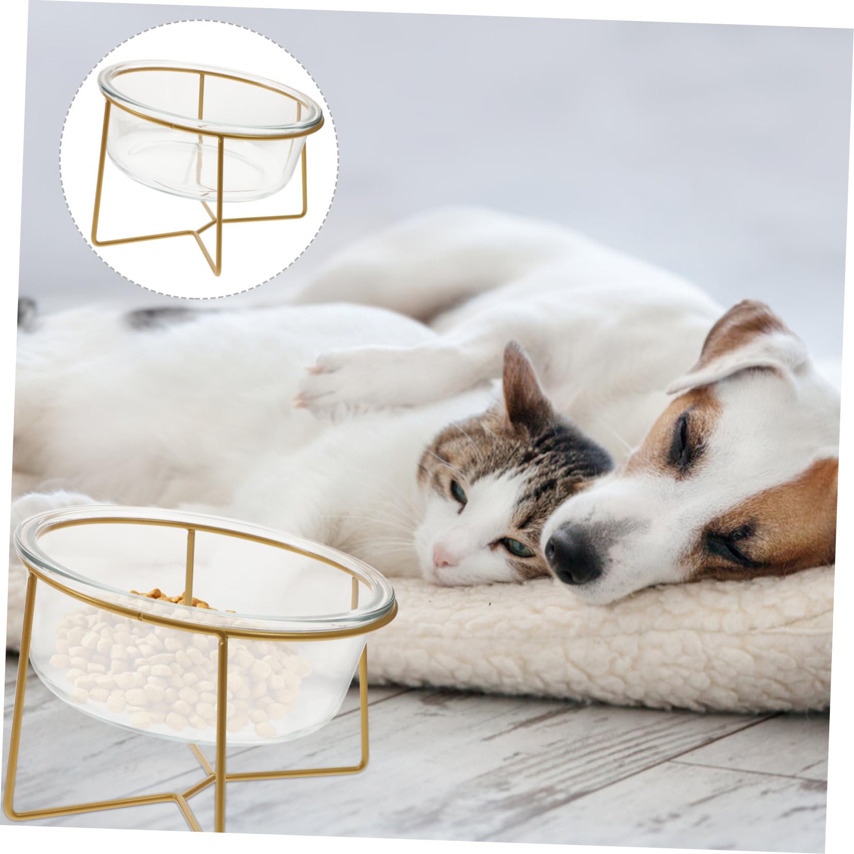 Toyvian 1pezzi Ciotola in Vetro per Gatti e Cani Piccoli Base Alta Antiscivolo per Alimenti Obliqui Facile da Pulire e Resistente per Uso Prolungato