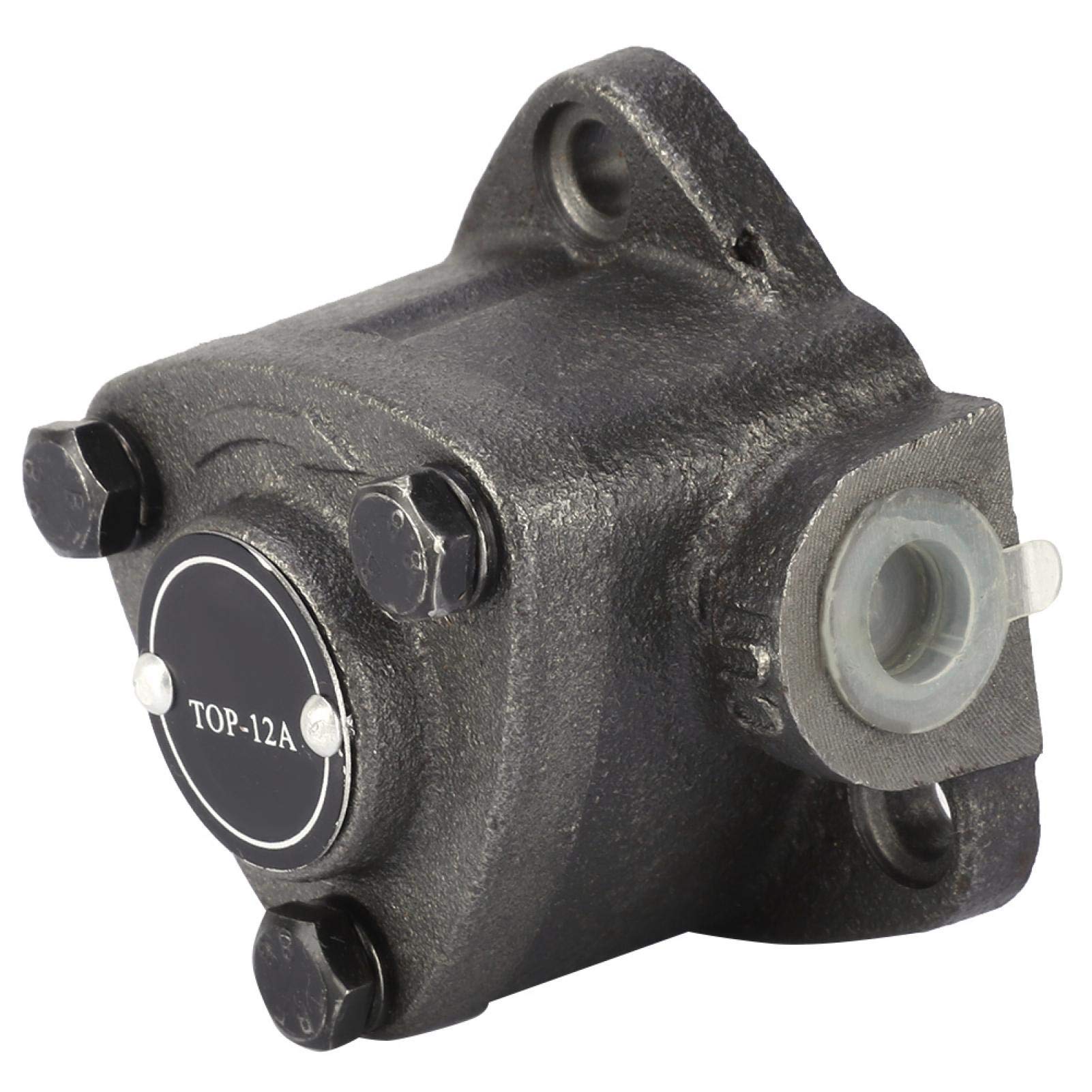 Pompa ad ingranaggi, pompa dell'olio cicloide, prestazioni stabili del ferro 1800R/Min Tipo di inserto 0.5Mpa per ingranaggio professionale per estrattore di miele(TOP-12A)