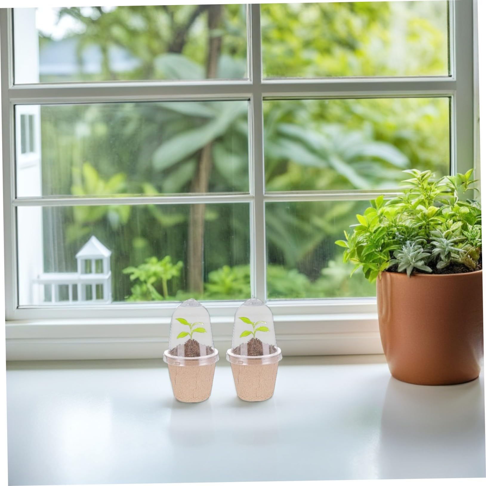 UPKOCH 40pezzi Vasi Rotondi Da Vivaio Biodegradabili in Polpa Di Carta Per Semina Di Piante e Ortaggi Per Progetti Scolastici e Giardinaggio Indoor