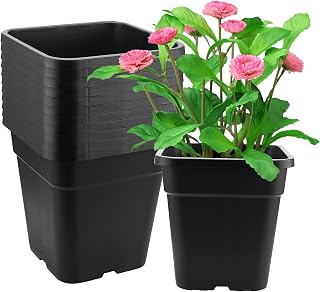 SEHOI 12 Pack 10 Inch Square Nursery Pots, 3 Gallon Plastic Plant Pots Grow Pots Nursery Planter Container with Drainage for Planting Soil Plants, Black