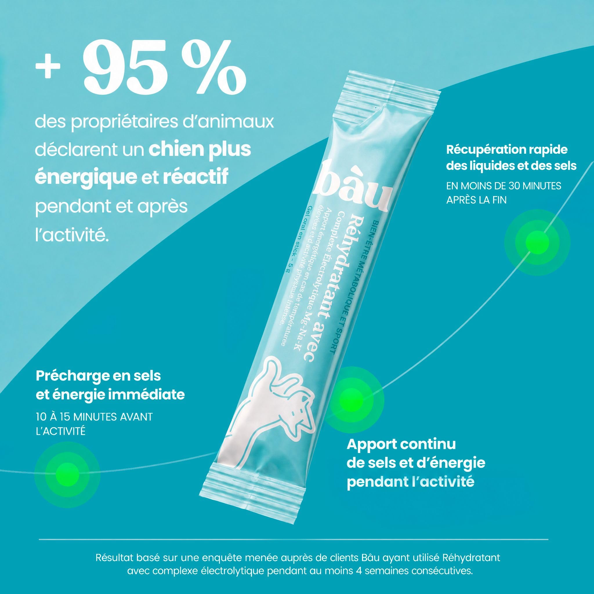 BAU Réhydratant Électrolytique pour Chiens Sportifs – Idéal par Temps Chaud – Gel Énergétique avec Magnésium, Sodium et Potassium – Soutien Pendant l’Activité – Sticks Unidose