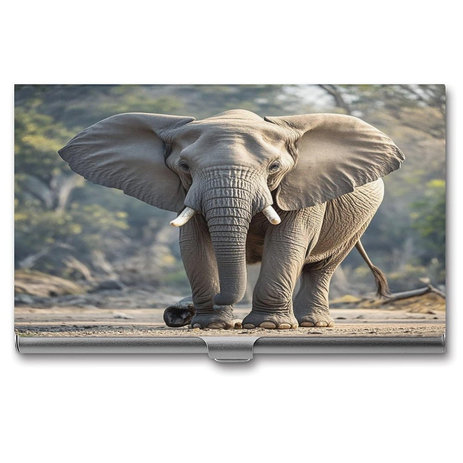 FekiLoot Elephant Business Card Holder for Men & Women Professional Stainless Steel Business Card Case Large Capacity Slim Purse Name Cards Holders Buckle Style Shut